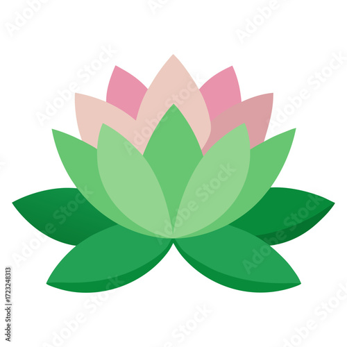 nymphaea odorata flower vector on white background