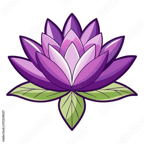 nymphaea alba purple  line art flower vector on white background