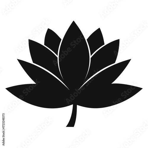 nymphaea odorata silhouette vector on white background