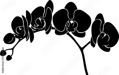 Elegant black orchid silhouette symbolizing grace and natural beauty, perfect for sophisticated designs and botanical themes.