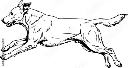 Dynamic dog in full stride captures the exhilaration of freedom and athletic pursuit, perfect for pet care brands and active lifestyle promotions.