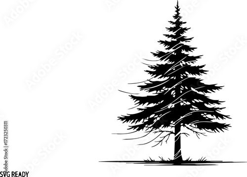 Majestic evergreen pine tree silhouette stands tall against a clean backdrop, evoking nature's enduring beauty and outdoor serenity.