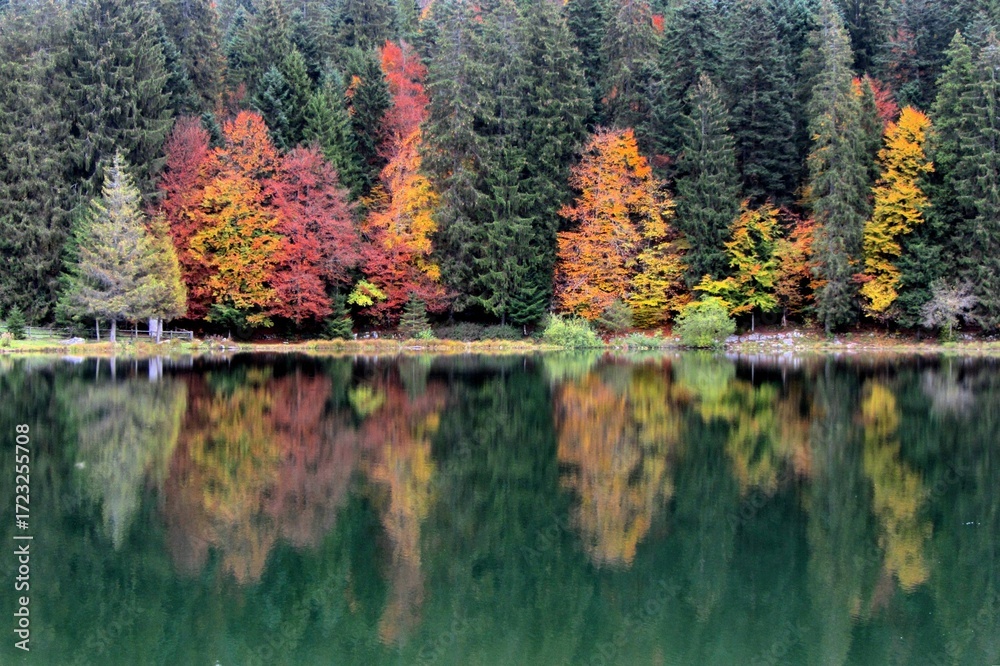 Obraz premium Couleurs d'automne