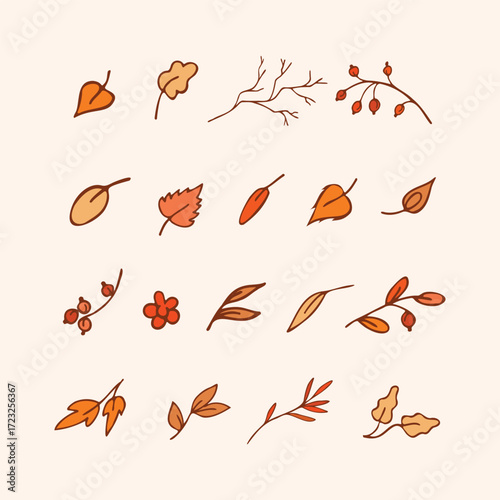 Leaves, twigs, herbs in autumn shades of red and yellow. Organic, eco symbols. Sketch designs