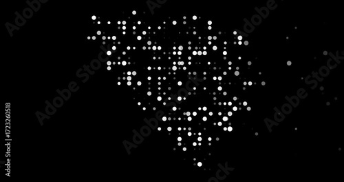 Digital Particles Drift Assembling Ethereal Bosnia and Herzegovina Map Design