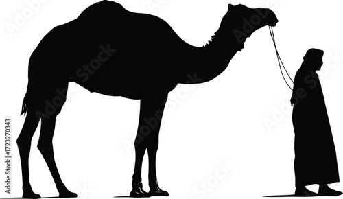 Silhouette of a camel handler guiding a dromedary camel across a desert landscape vector