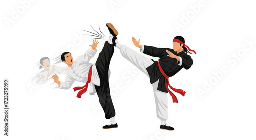 Dynamic martial arts demonstration featuring high kick and defense pose