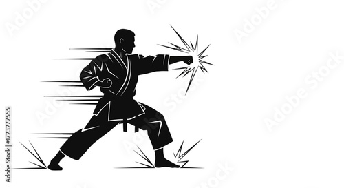 Silhouette of karate master demonstrating punch with striking effect