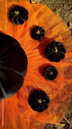 Black pumpkins on an orange background, Halloween decor