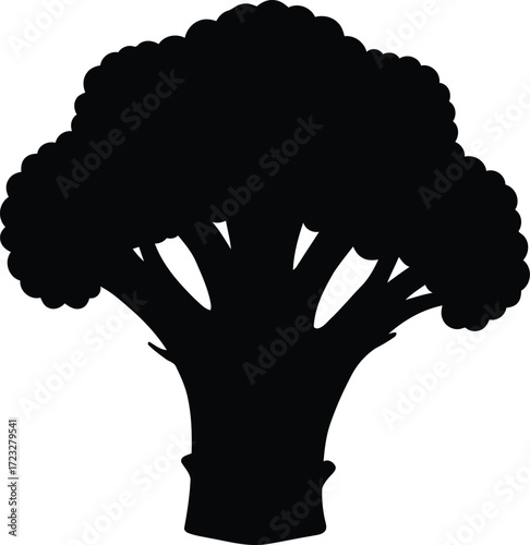 Broccoli silhouette healthy food ingredient isolated on white vector