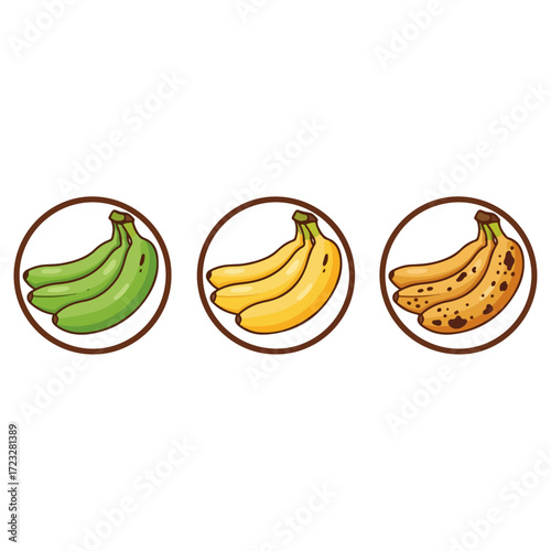 Banana ripeness stages from green to overripe vector icons.