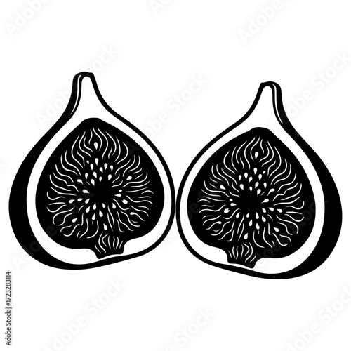 Two Sliced Figs, Detailed Illustration.