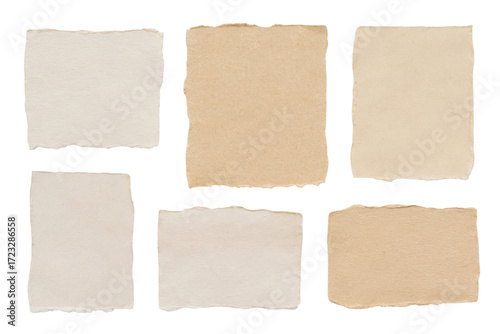 Collection of torn paper sheets with various colors isolated on white background 