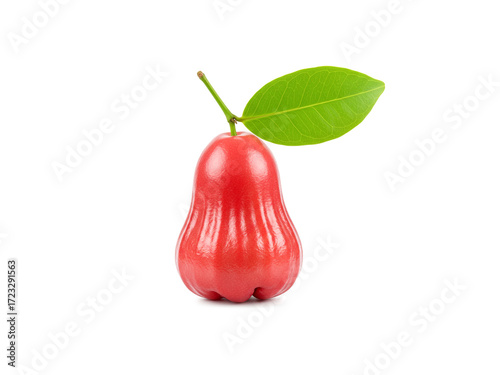 Fresh rose apple with green leaf isolated on white background.