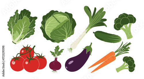 Collection of Fresh Vegetables Isolated on White Background.