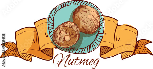 vector illustration of nutmeg label