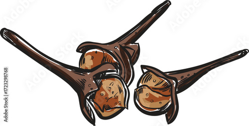 vector illustration of cloves
