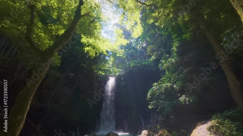 光に包まれた滝壺の4K映像（日本）