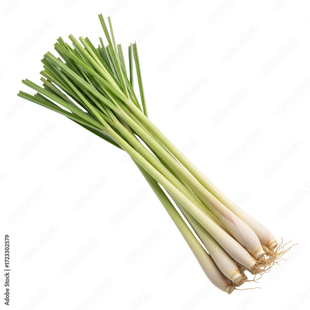 Fototapeta premium Bunch of Fresh Lemongrass Stalks with Roots on Black