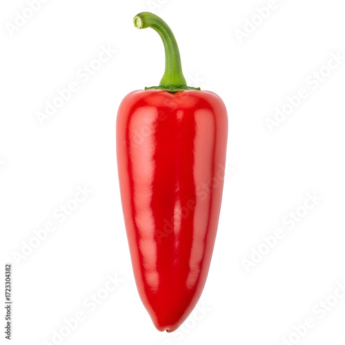 Single Red Jalapeno Pepper with Green Stem chili spicy