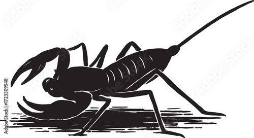Detailed silhouette illustration of a fearsome arachnid with pincers and a long tail against a white background