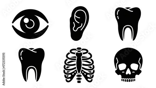Diverse anatomical icons including eye, ear, teeth, ribcage, and skull for medical and educational purposes