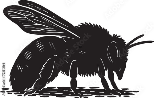 Detailed silhouette illustration of a bumblebee with textured wings and body on a white background