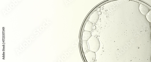 Cosmetic moisturizing gel or skin serum in a petri dish. Copy space