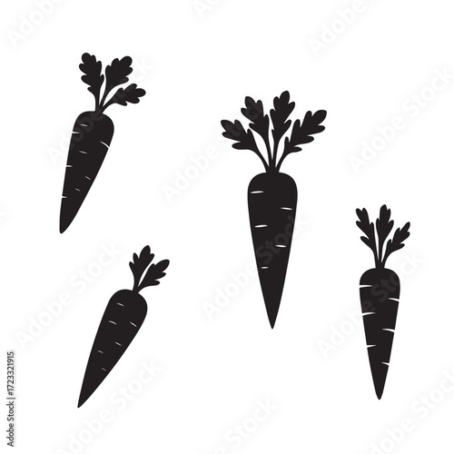 Carrot  silhouette on vector with white background