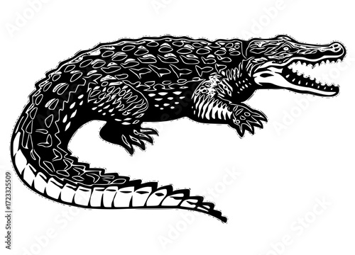 Alligator, a powerful and dangerous predator
