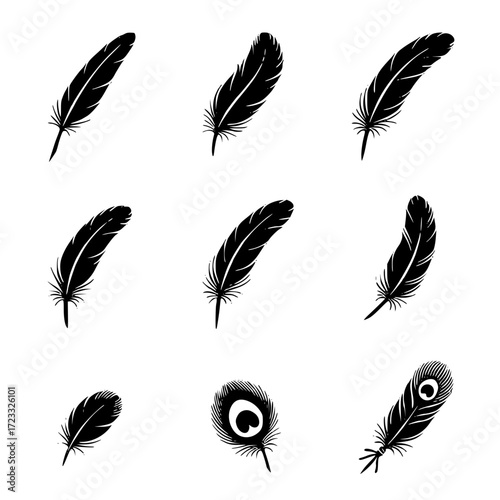 set of feathers