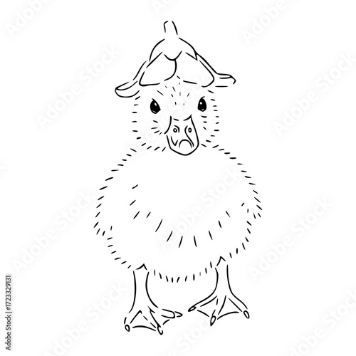 kawaii animal drawing: wobbly duck with headwear