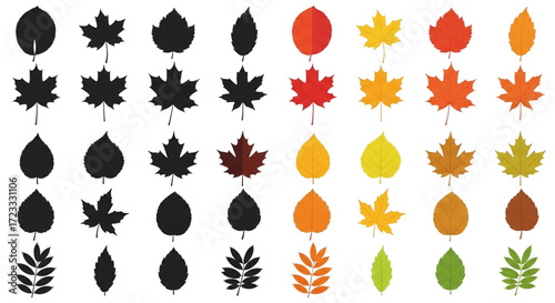 Various autumn leaves in different colors and shapes isolated on transparent background a collection of fall foliage icons
