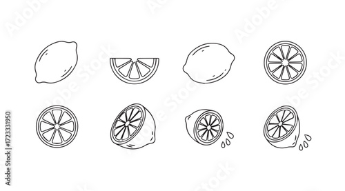Collection of fresh lemons and slices in a minimalist outline silhouette style
