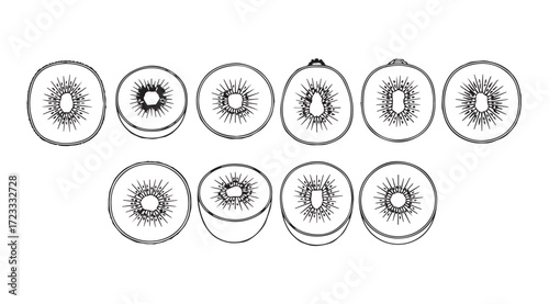 Collection of sliced kiwi fruit showing internal structure in a distinct silhouette style