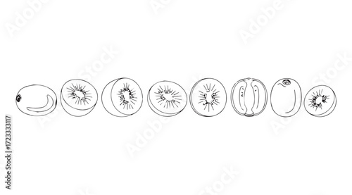 Detailed line art silhouette of sliced kiwifruit showing internal structure