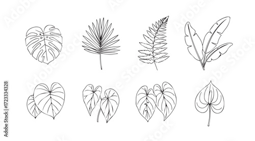 Collection of tropical leaf silhouettes in a hand drawn sketch style