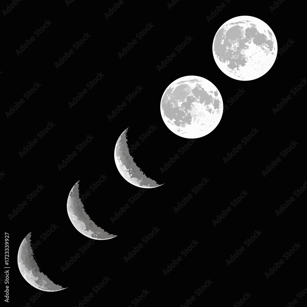 Obraz premium Vector art of phases of the moon from crescent to full on a