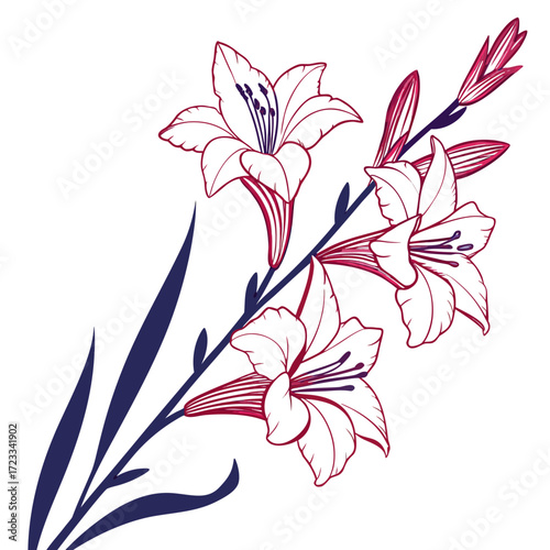 glamorous gladiolus vector