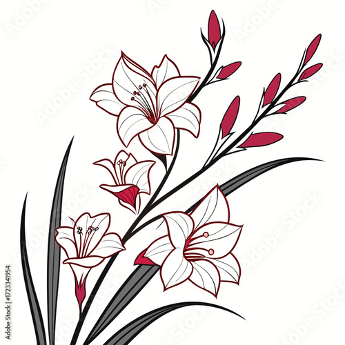 glamorous gladiolus vector