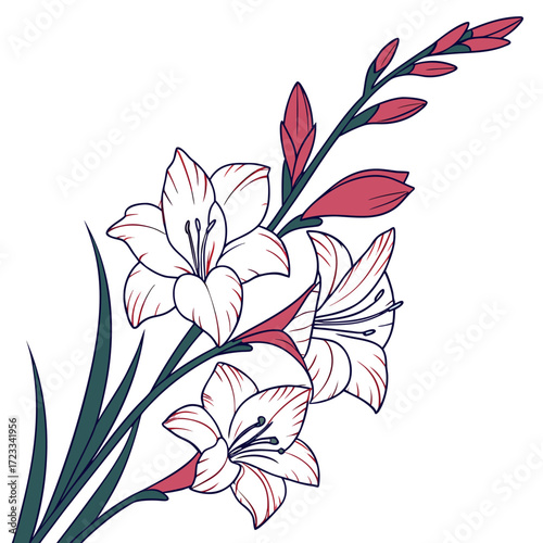 glamorous gladiolus with leaves 