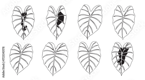 Collection of eight green elephant ear plant leaf silhouettes