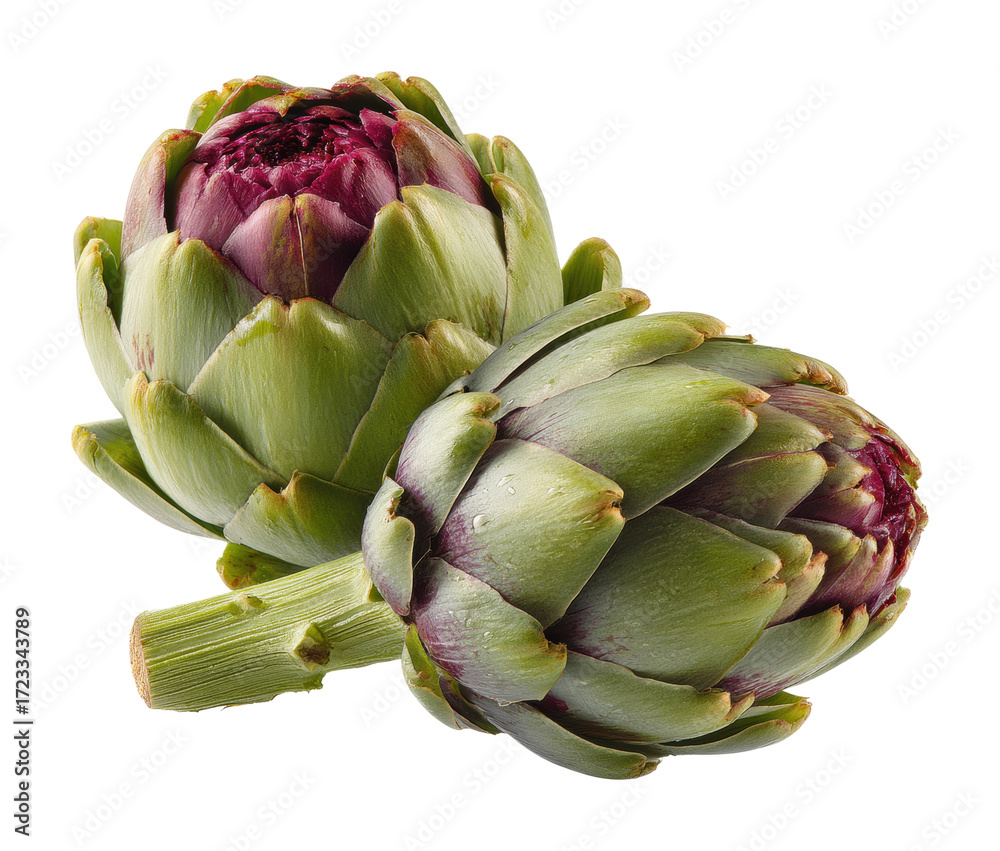 Fototapeta premium Harvesting fresh artichokes farm food isolated on transparent background