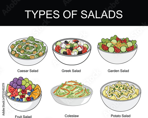 Delicious and Diverse Salad Selections A Visual Guide to Caesar, Greek, and More Salad Types