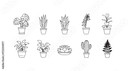 Collection of potted houseplants in a minimalist line art silhouette style
