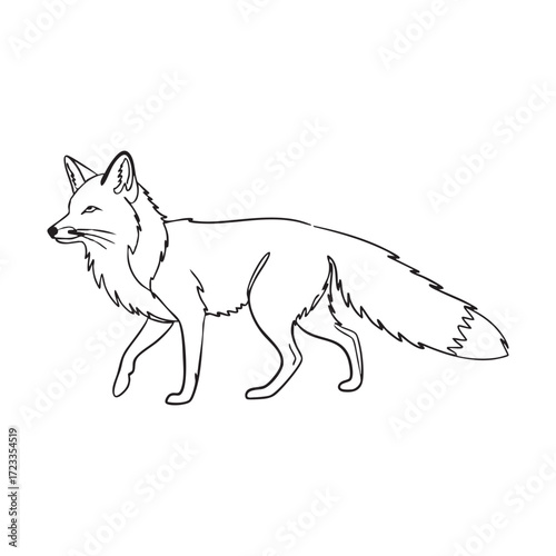 Simple line drawing of a fox in profile walking on a white background animal wildlife
