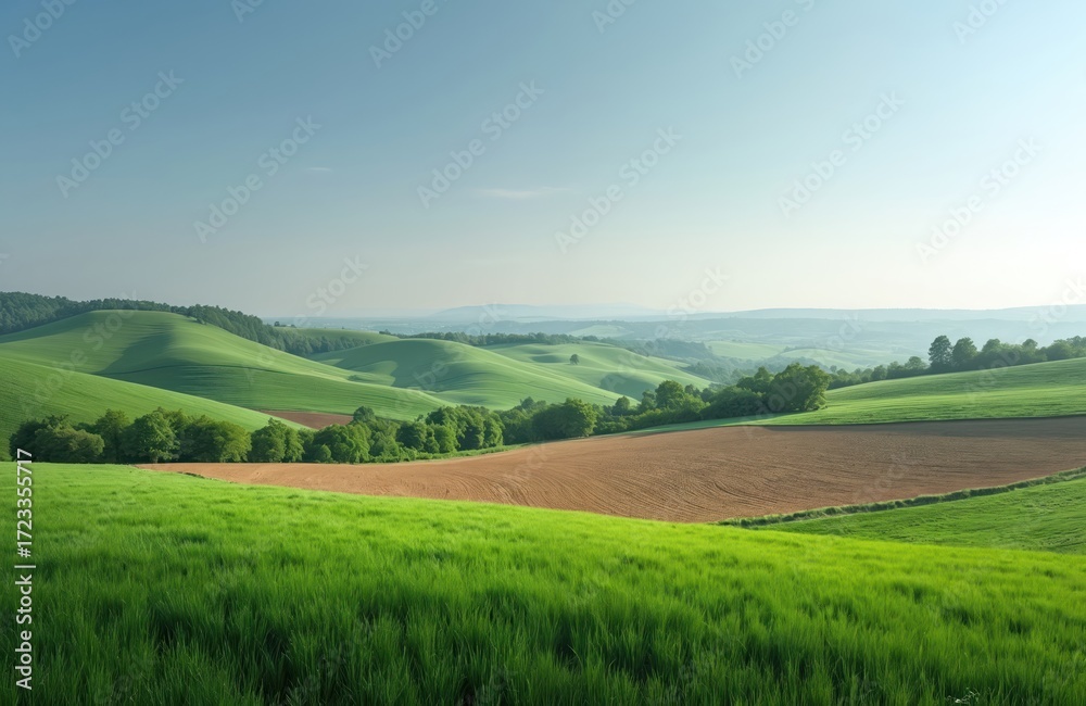 Fototapeta premium Green hills, plowed fields in valley on sunny day. Trees in background. Beautiful tranquil rural scene with agriculture, grass meadow, sky and horizon in summer season.