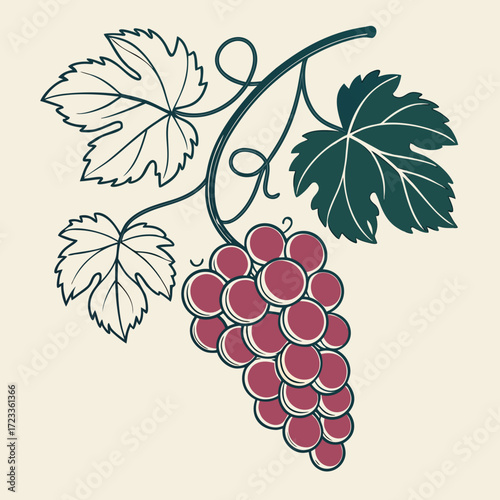 Illustration of a bunch of grapes hanging from a vine with leaves and tendrils on a light background