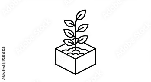 Young plant growing in a modern geometric planter, symbolizing growth and new beginnings.