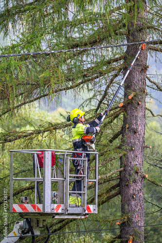 A man in a boom lift trims tree branches near a power line.
